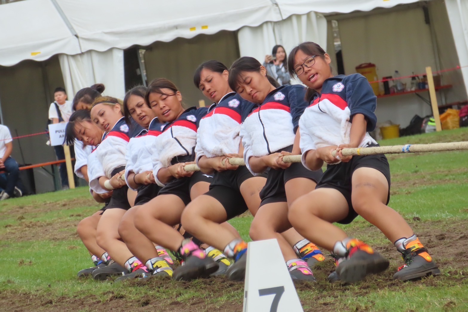 (圖)At the tug-of-war 2024 World Outdoor Championships, Taiwan won gold medal in the women's 500kg class.